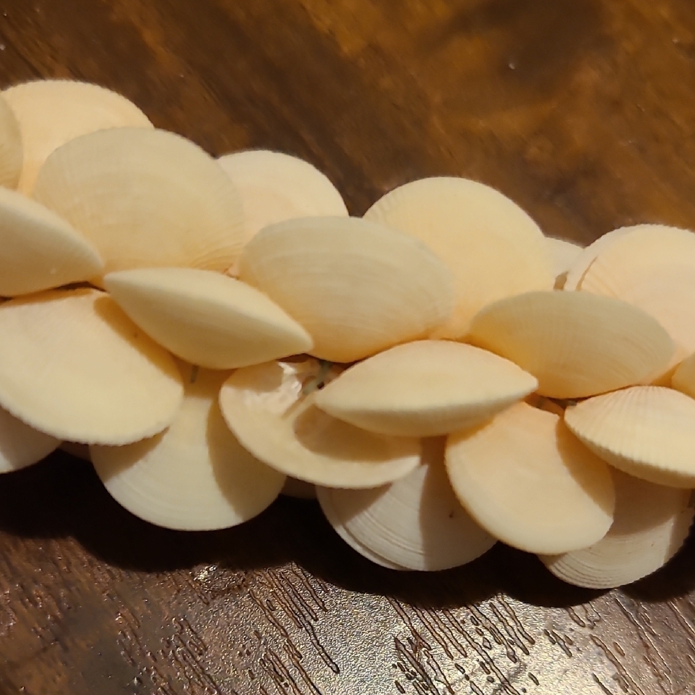 Rare Vintage Elegant Cream Shell Necklace - Picture 7 of 16